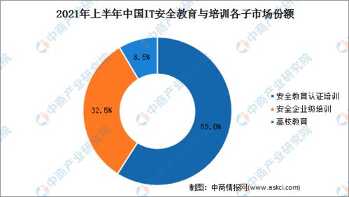 2021年上半年中國網絡安全服務廠商收入規模高漲110%，網絡與信息安全軟件開發引領增長